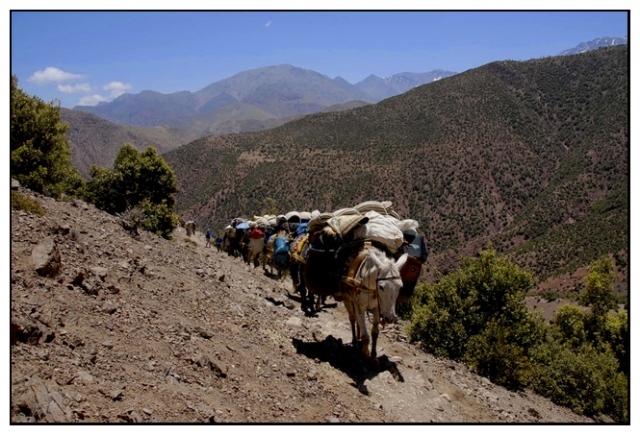 toubkal 59 kim.jpg